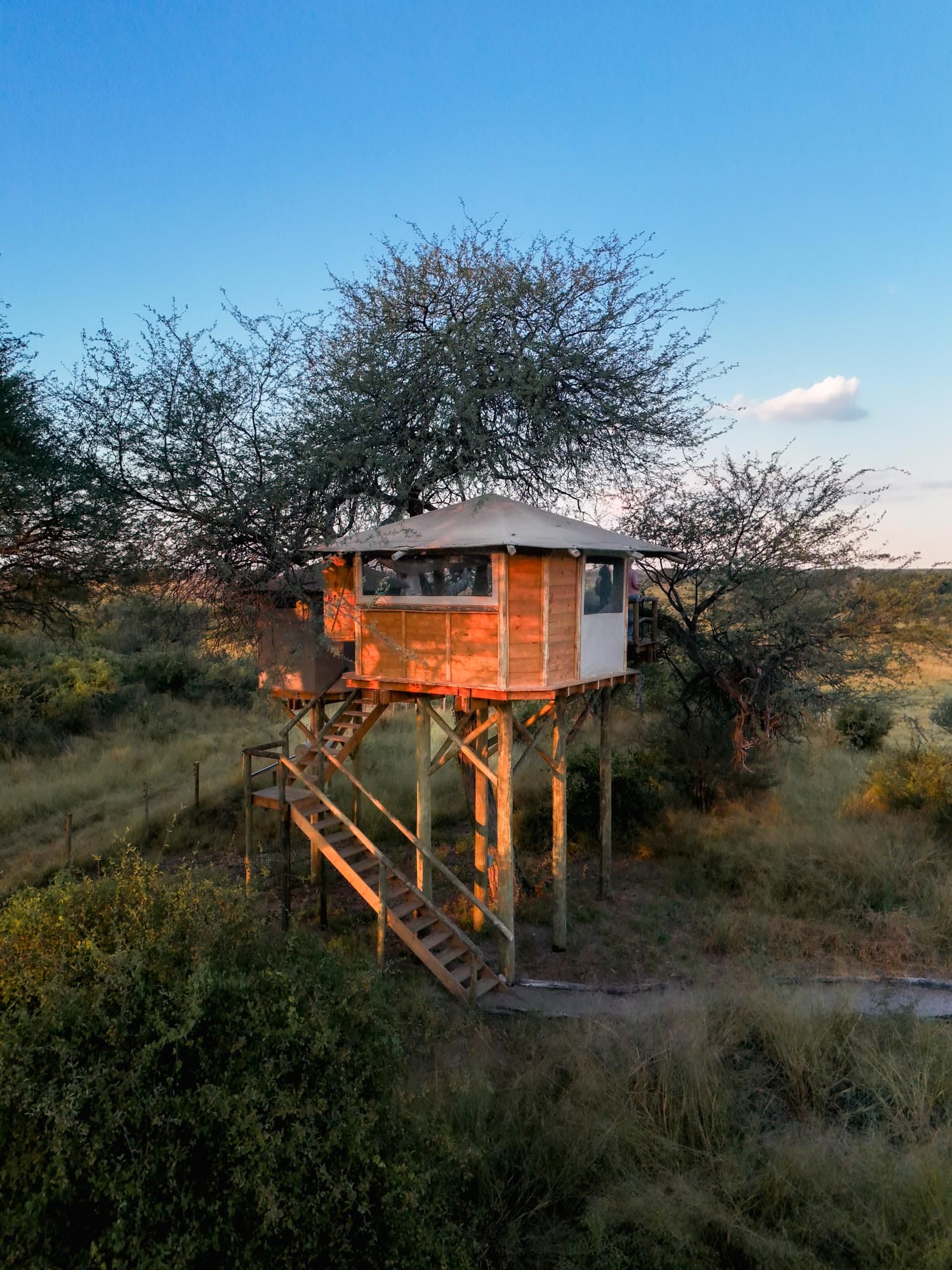 The treehouse in evening light