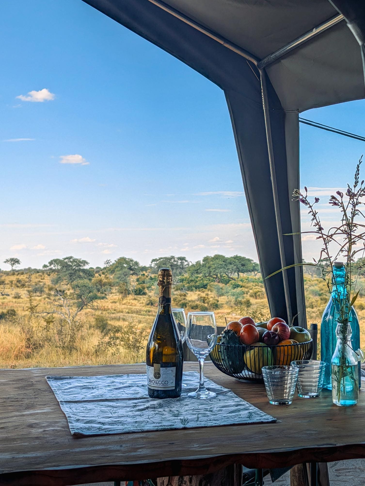 View from a tent veranda into the bush